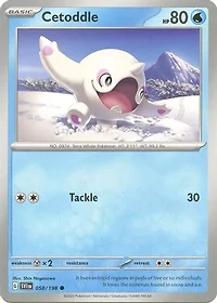 Cetoddle - / - Common