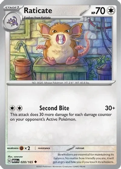 Raticate - 020/165 - Uncommon
