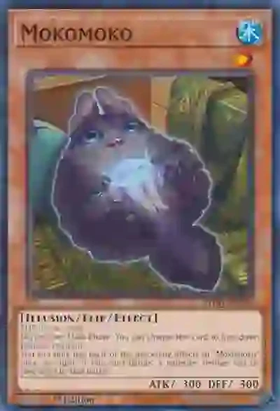 Mokomoko - PHNI-EN033 - Common - 1st Edition