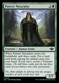 Patient Naturalist - Foil