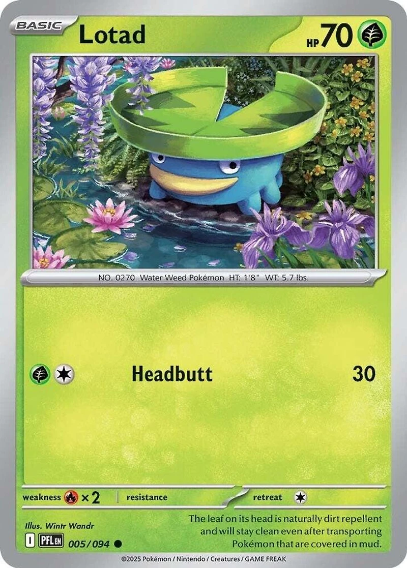 Lotad - 005/094 - Common - Reverse Holo
