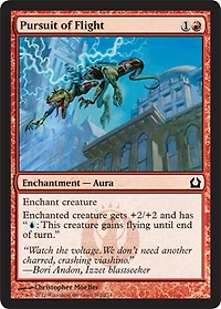 Pursuit of Flight - Foil