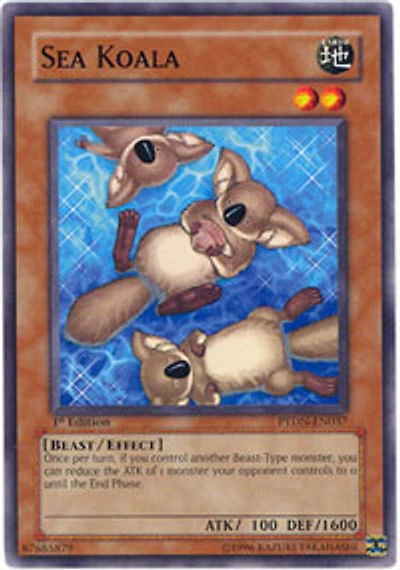 Sea Koala - PTDN-EN037 - Common - 1st Edition