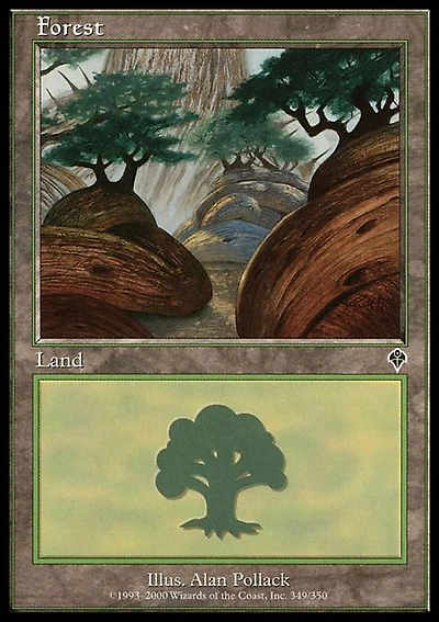 Forest (349