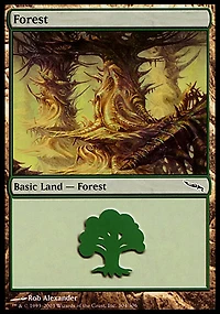 Forest (304