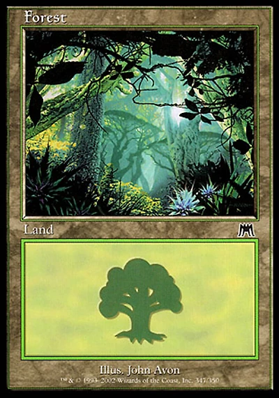 Forest (347)