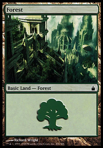Forest (306