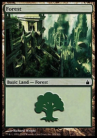 Forest (306
