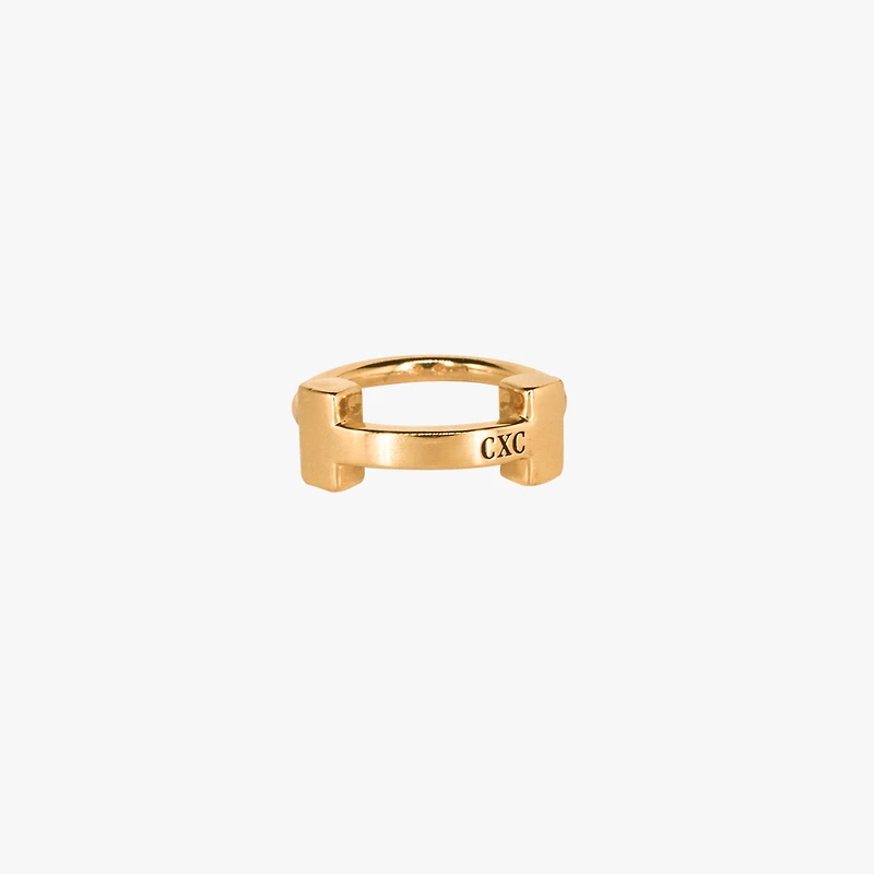 Anillo H