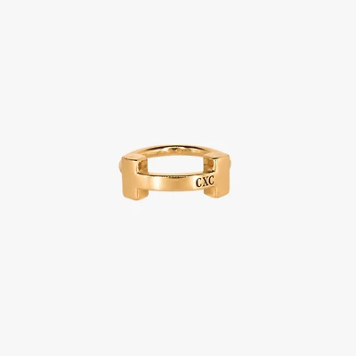 Anillo H