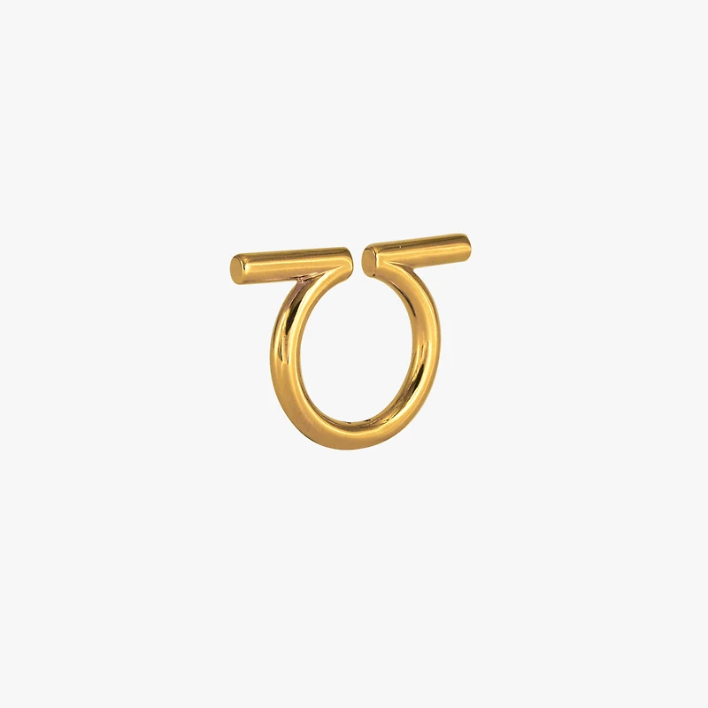 Anillo Esencia Omega
