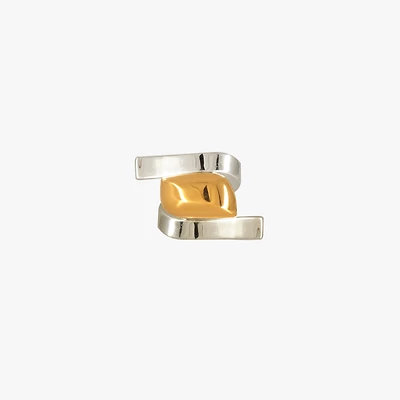 Anillo Pétreo