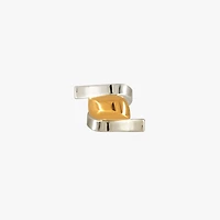Anillo Pétreo