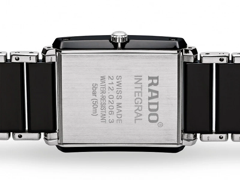 Integral Black Dial 31MM Quartz R20206162