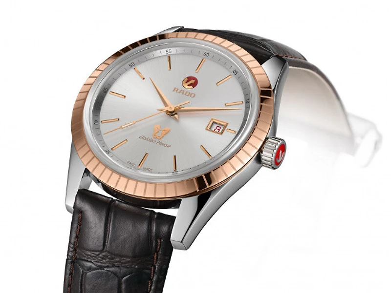 Golden Horse Silver Dial 42MM Automatic R33100015