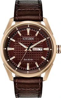 Citizen CTO