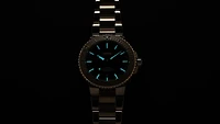 Oris Aquis Divers Date Relief Red Dial 44MM Automatic