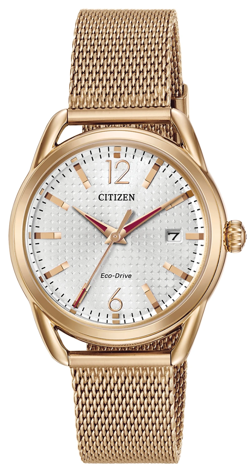 LTR - Long Term Relationship Silver Dial 
36MM Eco-Drive FE6083-72A