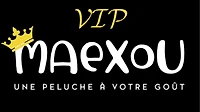 PROGRAMME FIDELITÉ VIP MAEXOU