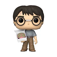 Eb18 Harry Potter B&N 174