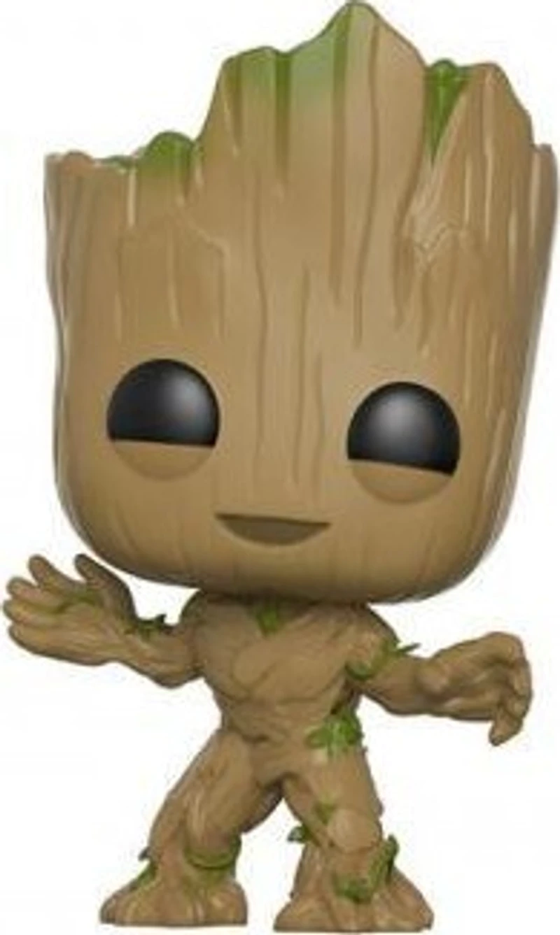 Lp139 Groot 202