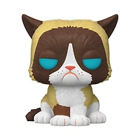 Lu38 Grumpy Cat Flocked EEE 60