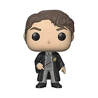 PJ161 Tom Riddle 60