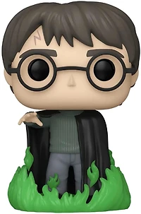 Pj122 Harry Potter GID Funko Excl. 153