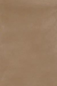 Stacie Faux Suede Mini Skort