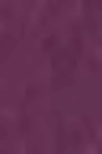 Active T-Back Bodysuit