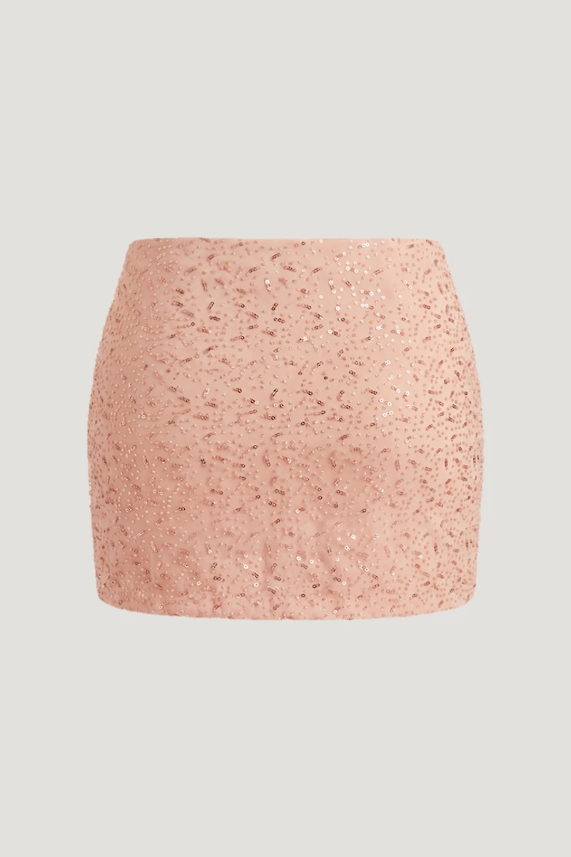 Beaded Mesh Mini Skirt