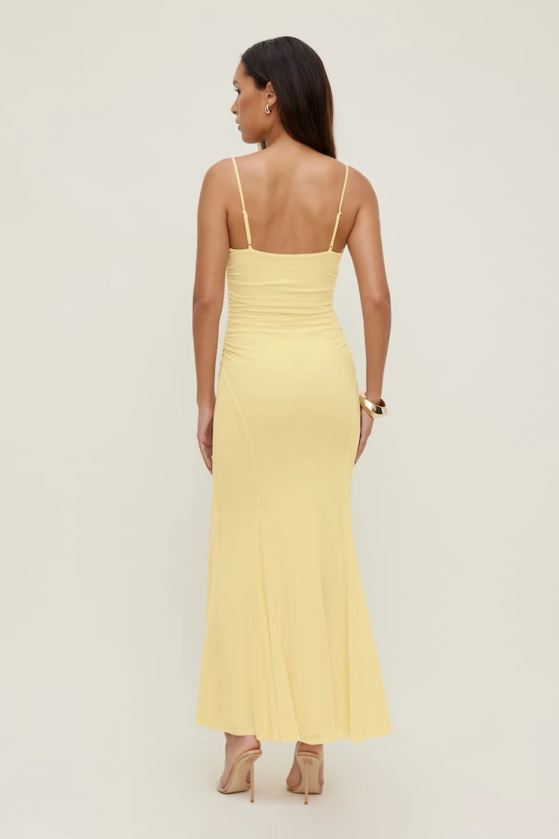 Delphi Mesh Maxi Dress