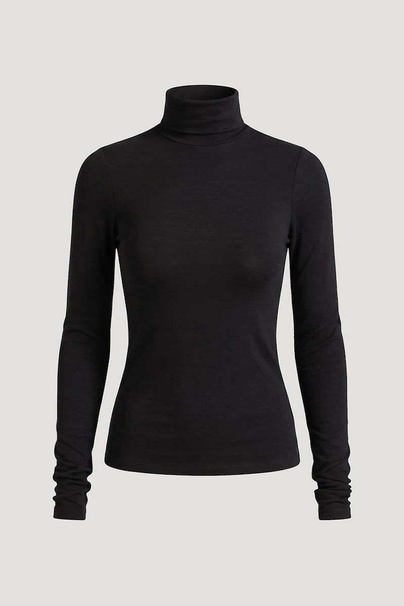 Fitted Turtleneck Top