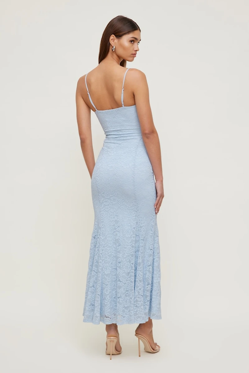 Monet Lace Overlay Maxi Dress