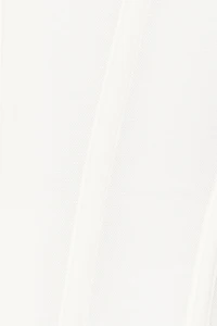 Plunge Halter Mesh Corset Top