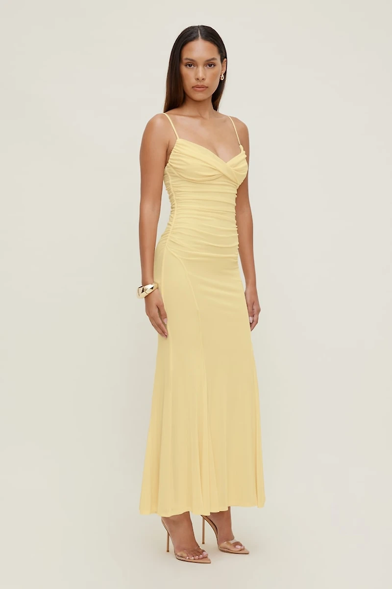 Delphi Mesh Maxi Dress