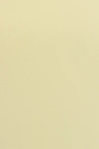 Clean Off Shoulder Top