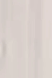 Emily Tailored Slim Ankle Pants