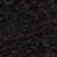 VAGABOND | Bottes hautes Cassie