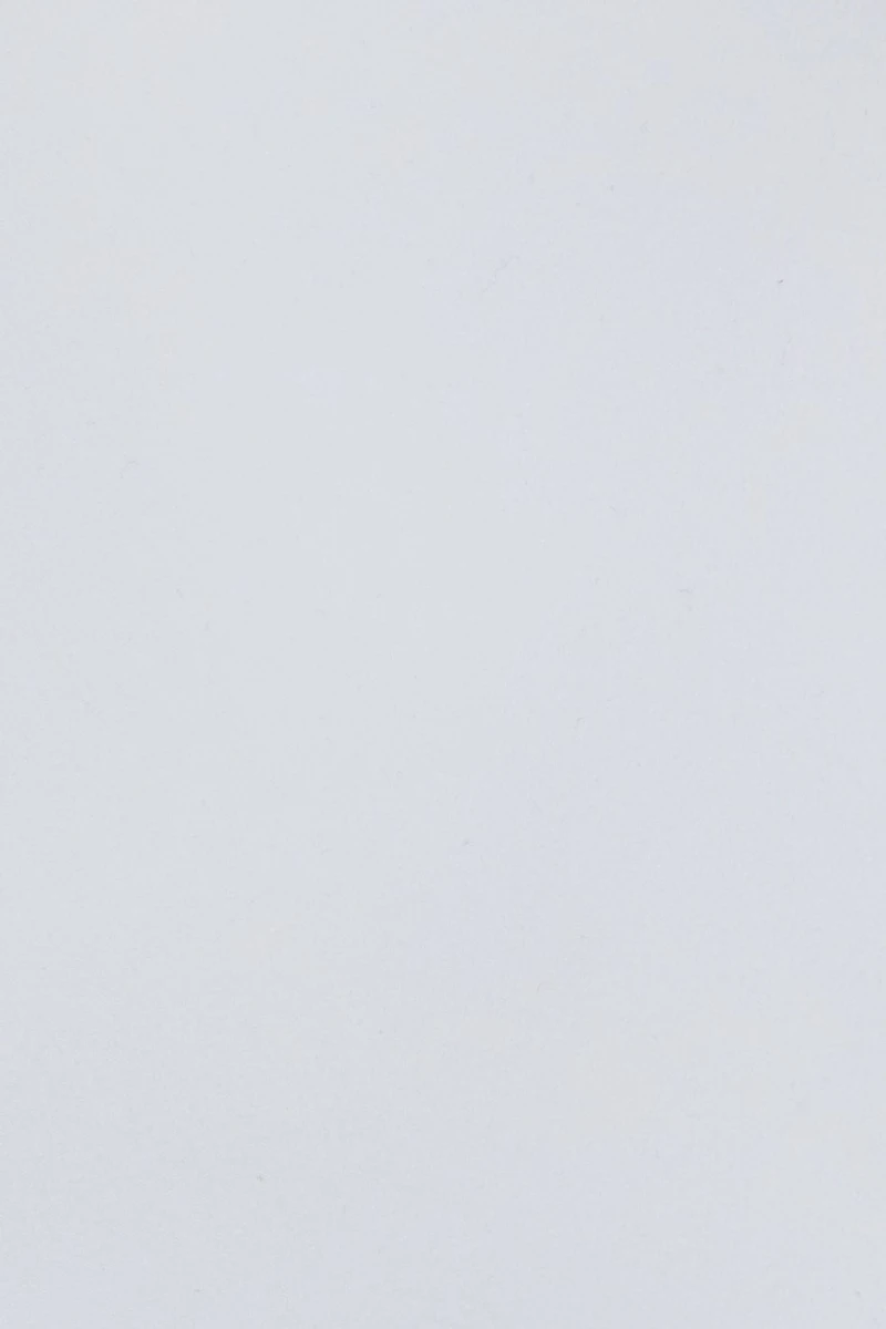 Deep Plunge Halter Bodysuit