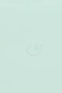 SoftActive Booty Shorts