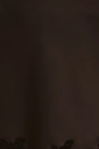 Minijupe en satin et dentelle Alli