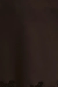 Alli Lace Satin Mini Skirt