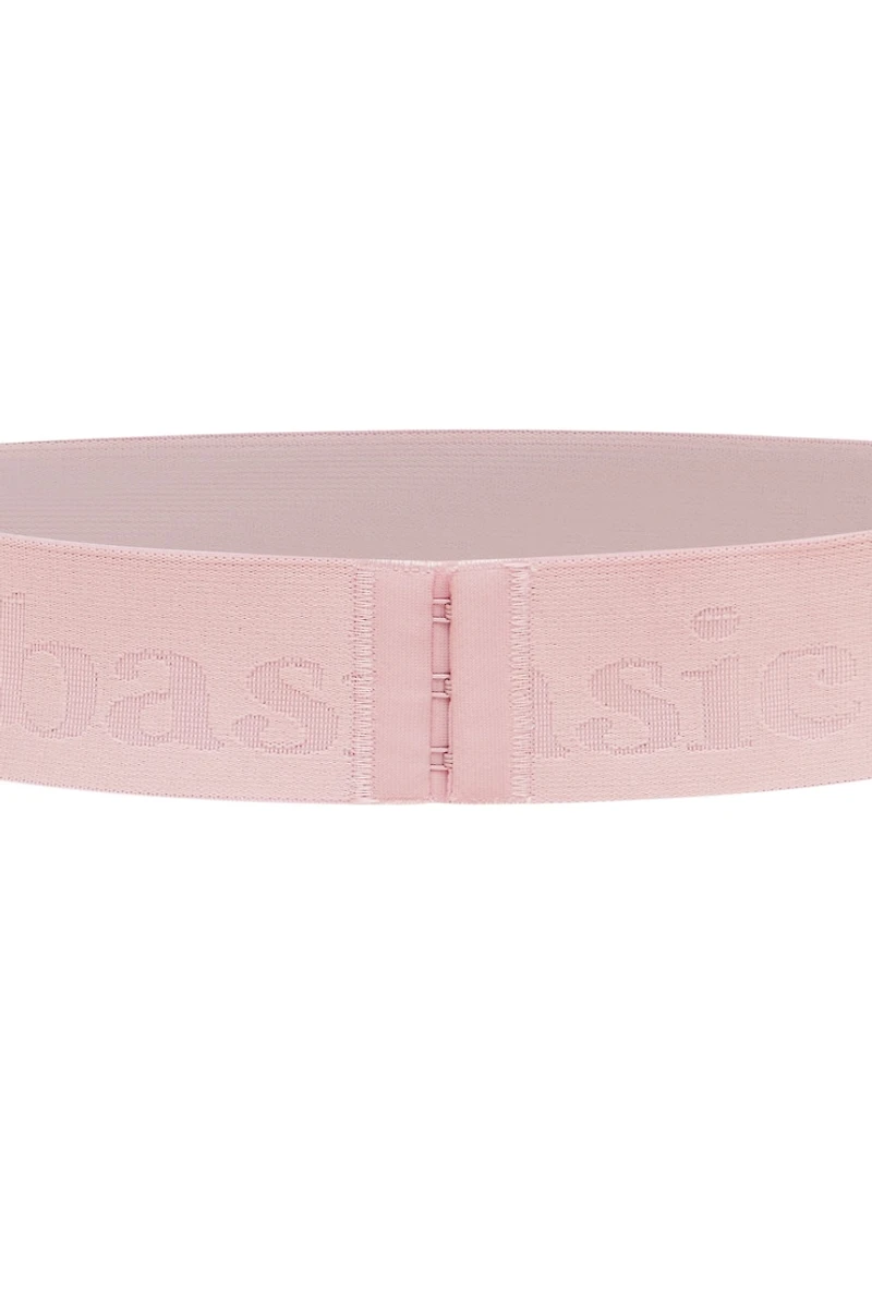 Bande « The Basic Band »