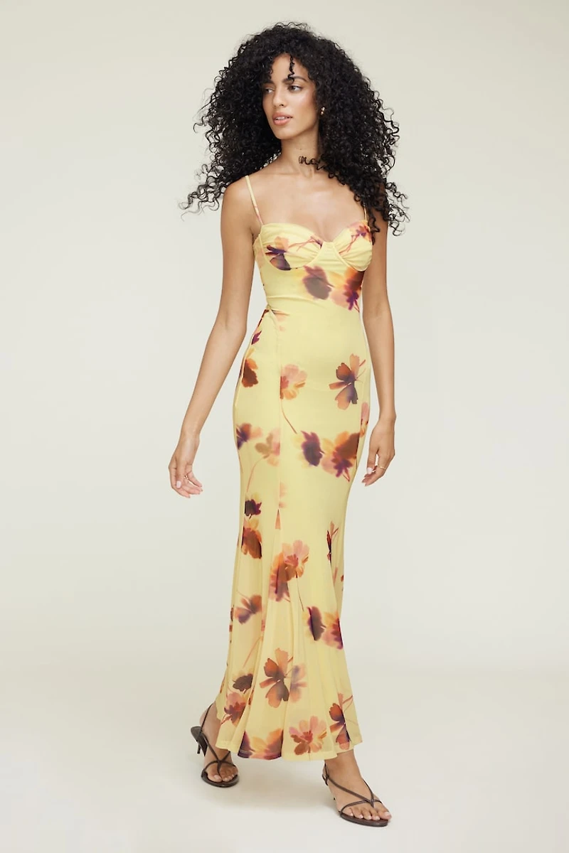 Monet Mesh Maxi Dress