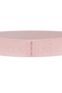 Bande « The Basic Band »