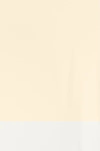 Boomerang Cheeky Bikini Bottom