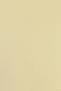 Halter Underwire Bikini Top