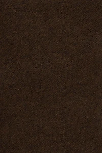 Long Sleeve Spongy Crewneck Sweater