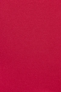 Seamless Lace Trim Cami Top